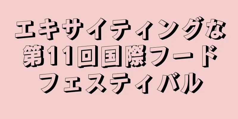 エキサイティングな第11回国際フードフェスティバル
