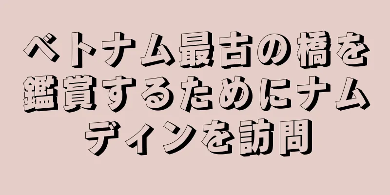 ベトナム最古の橋を鑑賞するためにナムディンを訪問