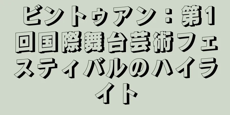 ビントゥアン：第1回国際舞台芸術フェスティバルのハイライト
