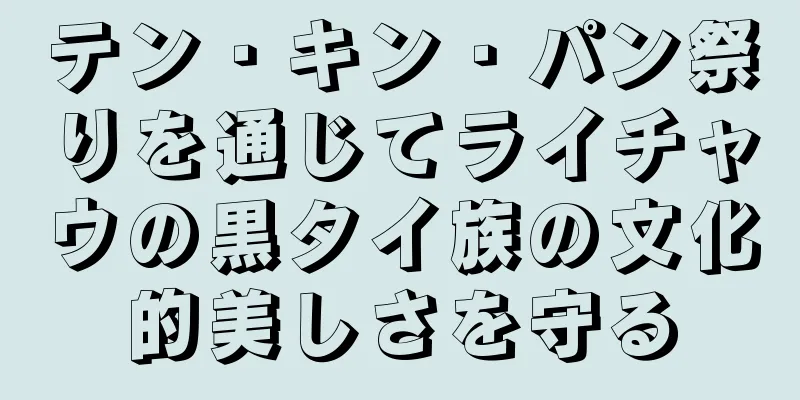 テン・キン・パン祭りを通じてライチャウの黒タイ族の文化的美しさを守る