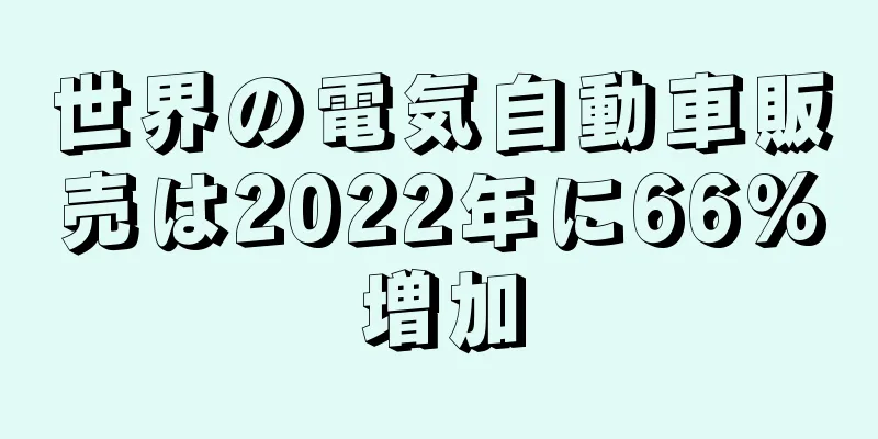 世界の電気自動車販売は2022年に66%増加