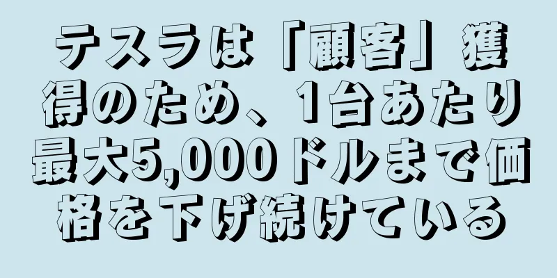 テスラは「顧客」獲得のため、1台あたり最大5,000ドルまで価格を下げ続けている