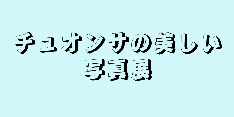 チュオンサの美しい写真展