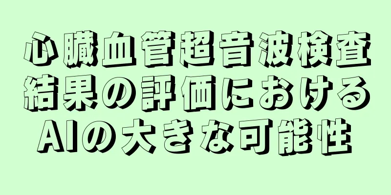 心臓血管超音波検査結果の評価におけるAIの大きな可能性
