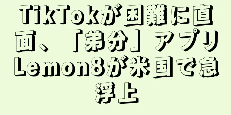 TikTokが困難に直面、「弟分」アプリLemon8が米国で急浮上
