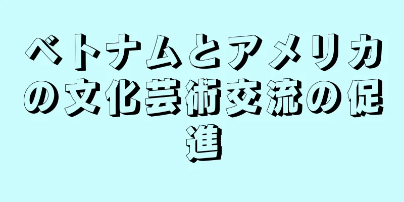ベトナムとアメリカの文化芸術交流の促進