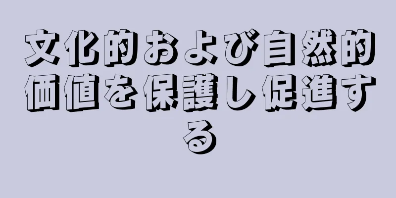 文化的および自然的価値を保護し促進する