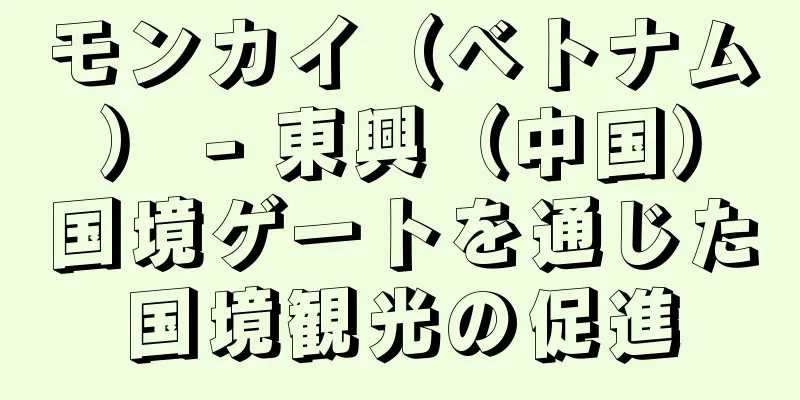 モンカイ（ベトナム） - 東興（中国）国境ゲートを通じた国境観光の促進