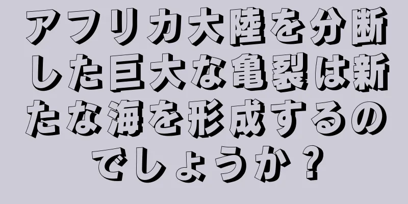 アフリカ大陸を分断した巨大な亀裂は新たな海を形成するのでしょうか？