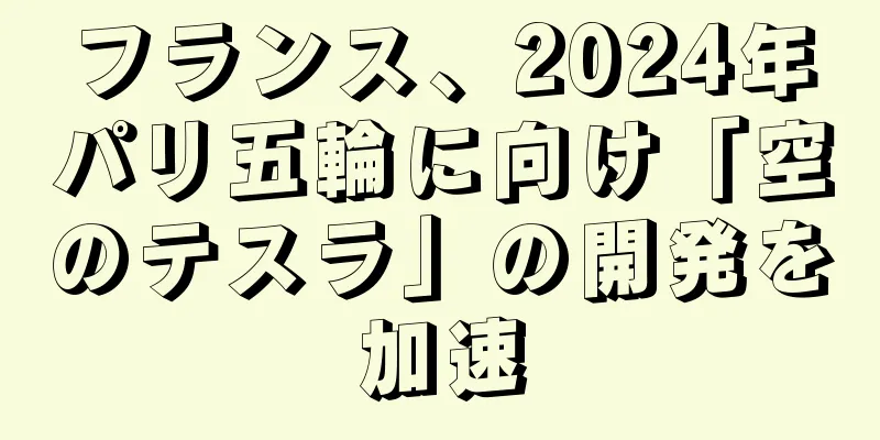 フランス、2024年パリ五輪に向け「空のテスラ」の開発を加速