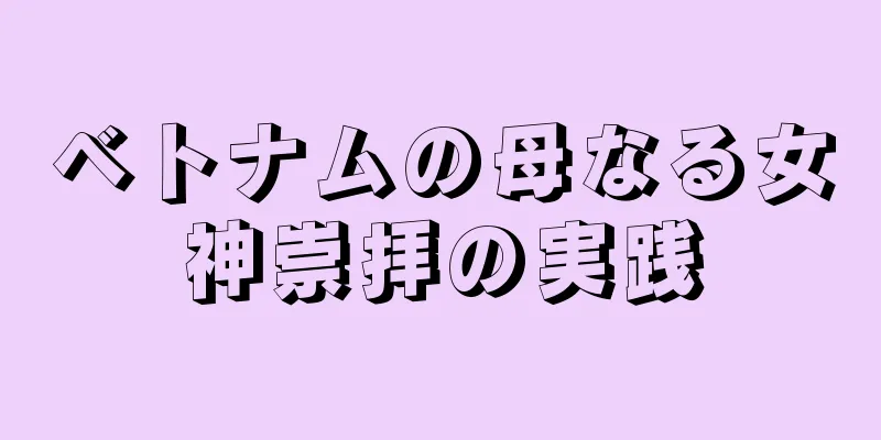 ベトナムの母なる女神崇拝の実践