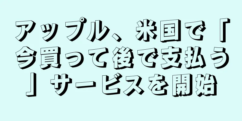 アップル、米国で「今買って後で支払う」サービスを開始