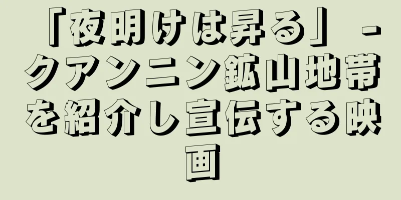 「夜明けは昇る」 - クアンニン鉱山地帯を紹介し宣伝する映画