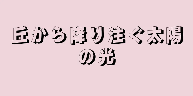 丘から降り注ぐ太陽の光