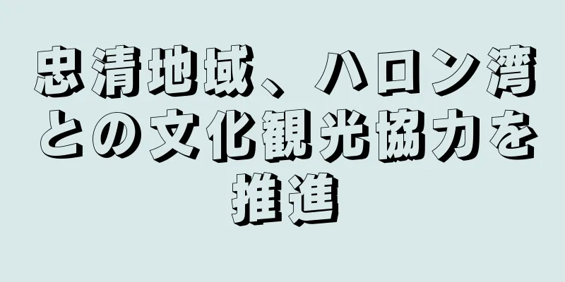 忠清地域、ハロン湾との文化観光協力を推進