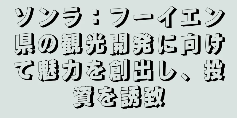 ソンラ：フーイエン県の観光開発に向けて魅力を創出し、投資を誘致