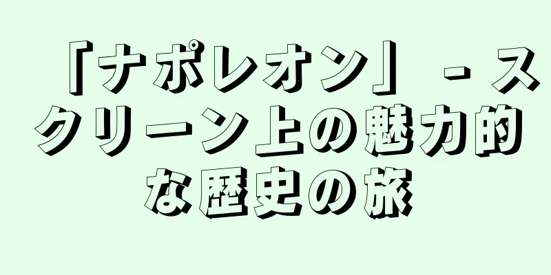 「ナポレオン」 - スクリーン上の魅力的な歴史の旅