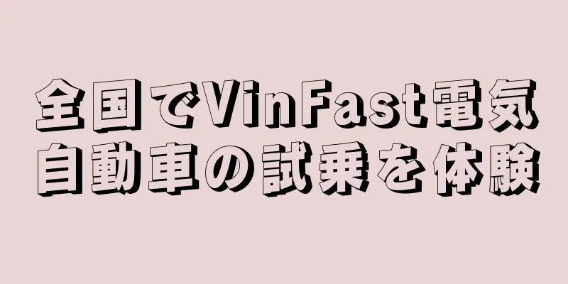全国でVinFast電気自動車の試乗を体験