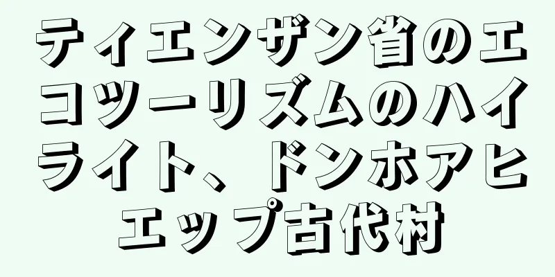 ティエンザン省のエコツーリズムのハイライト、ドンホアヒエップ古代村