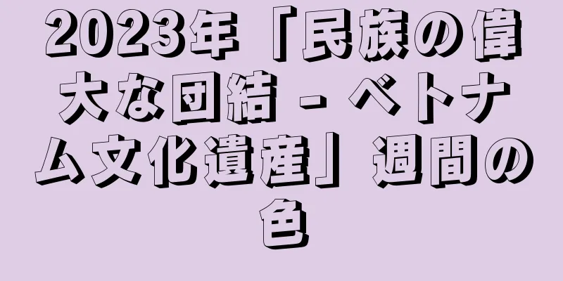 2023年「民族の偉大な団結 - ベトナム文化遺産」週間の色