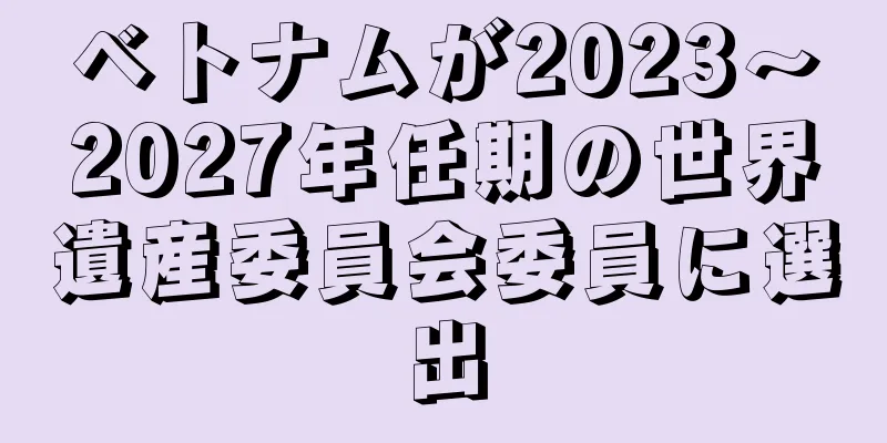 ベトナムが2023～2027年任期の世界遺産委員会委員に選出