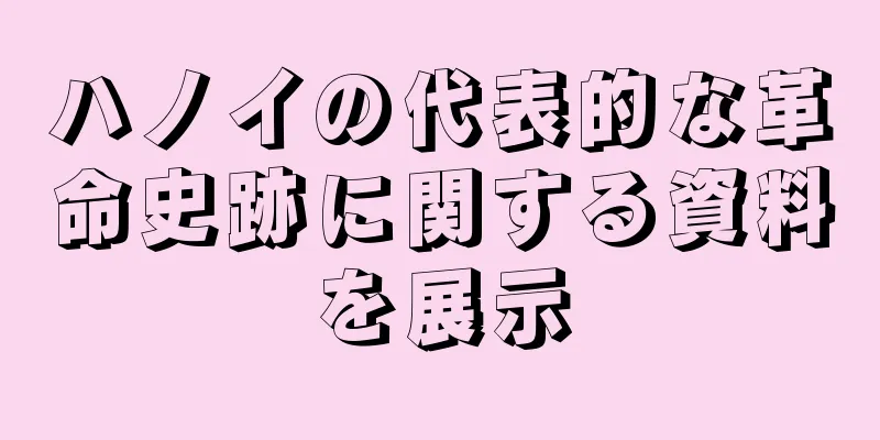 ハノイの代表的な革命史跡に関する資料を展示