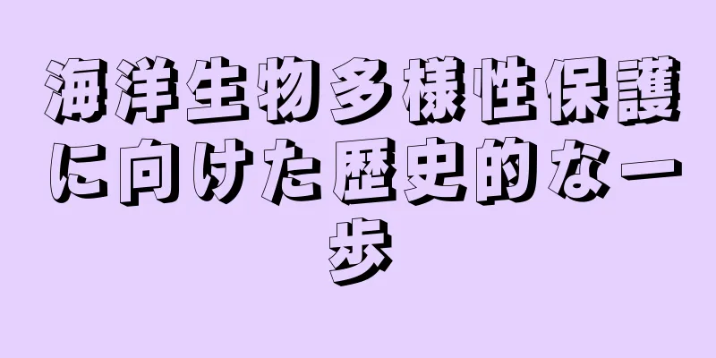 海洋生物多様性保護に向けた歴史的な一歩