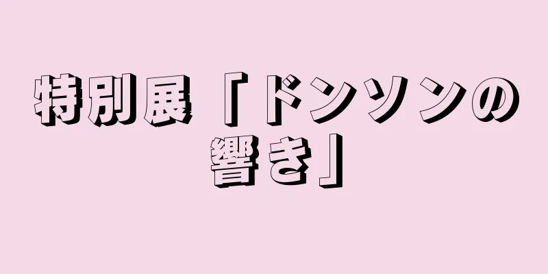 特別展「ドンソンの響き」
