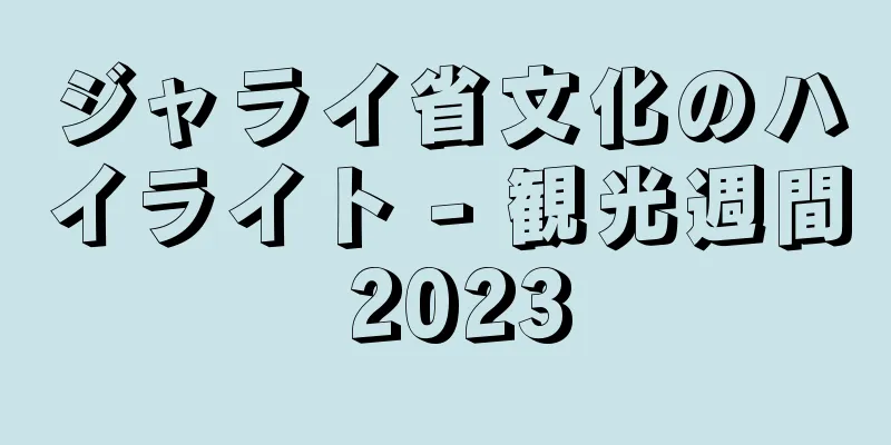 ジャライ省文化のハイライト - 観光週間 2023