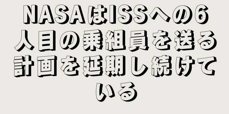 NASAはISSへの6人目の乗組員を送る計画を延期し続けている