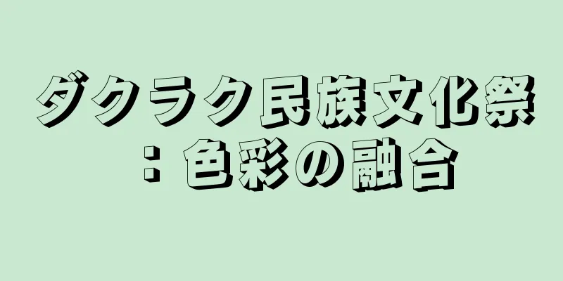 ダクラク民族文化祭：色彩の融合
