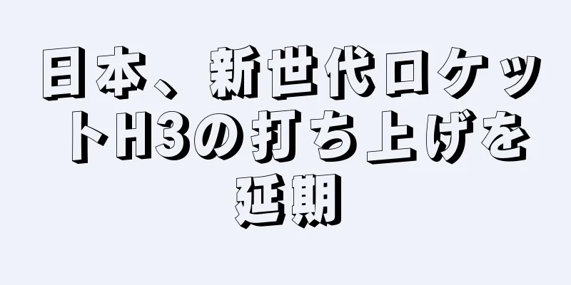 日本、新世代ロケットH3の打ち上げを延期