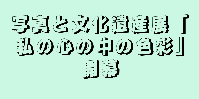 写真と文化遺産展「私の心の中の色彩」開幕