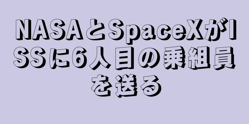 NASAとSpaceXがISSに6人目の乗組員を送る