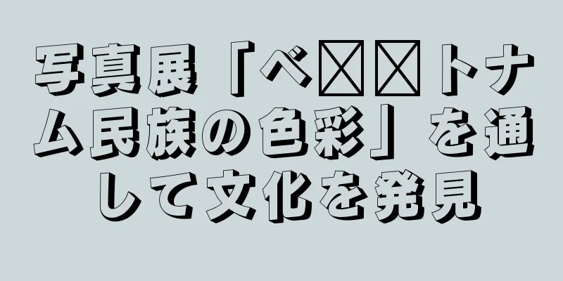 写真展「ベ​​トナム民族の色彩」を通して文化を発見