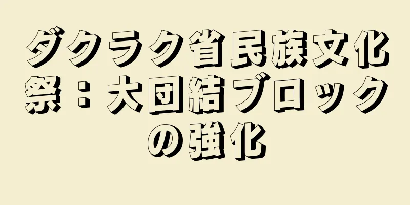ダクラク省民族文化祭：大団結ブロックの強化