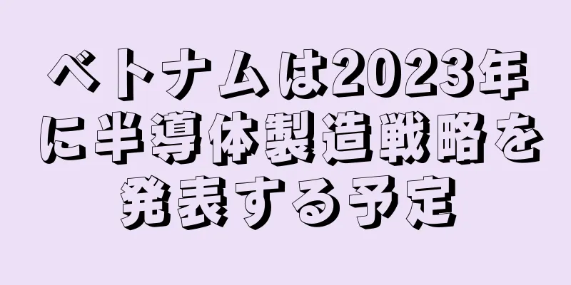 ベトナムは2023年に半導体製造戦略を発表する予定