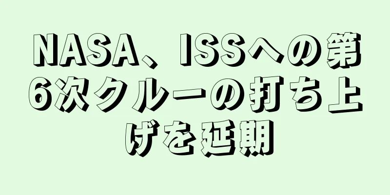 NASA、ISSへの第6次クルーの打ち上げを延期