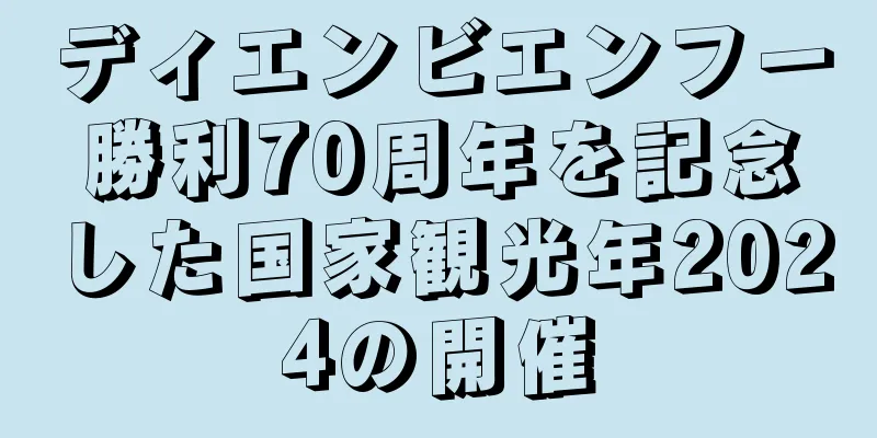 ディエンビエンフー勝利70周年を記念した国家観光年2024の開催