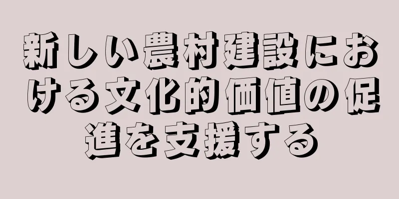 新しい農村建設における文化的価値の促進を支援する