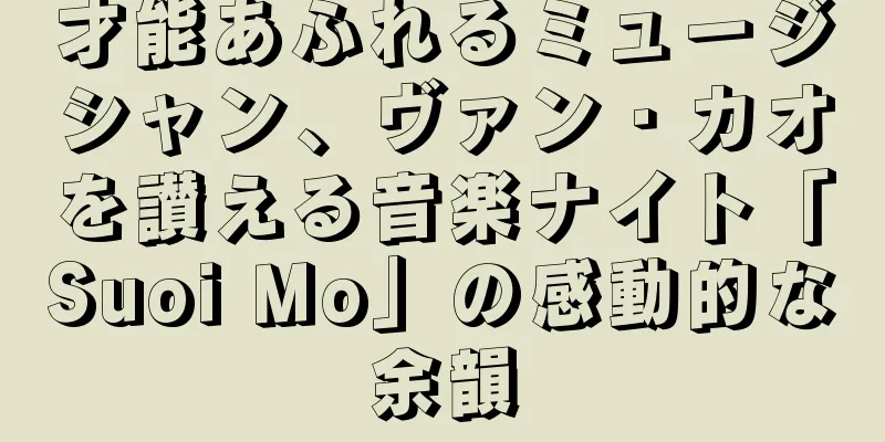 才能あふれるミュージシャン、ヴァン・カオを讃える音楽ナイト「Suoi Mo」の感動的な余韻