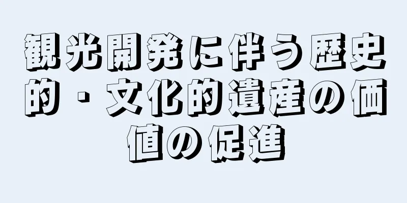 観光開発に伴う歴史的・文化的遺産の価値の促進