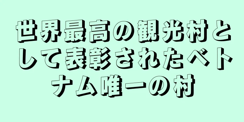 世界最高の観光村として表彰されたベトナム唯一の村