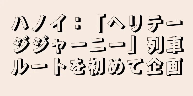 ハノイ：「ヘリテージジャーニー」列車ルートを初めて企画