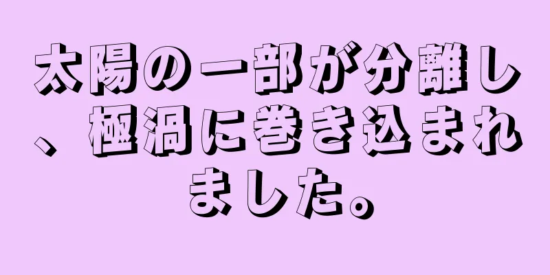太陽の一部が分離し、極渦に巻き込まれました。