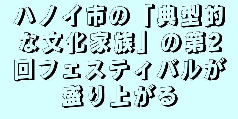 ハノイ市の「典型的な文化家族」の第2回フェスティバルが盛り上がる