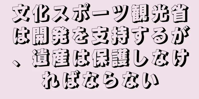 文化スポーツ観光省は開発を支持するが、遺産は保護しなければならない
