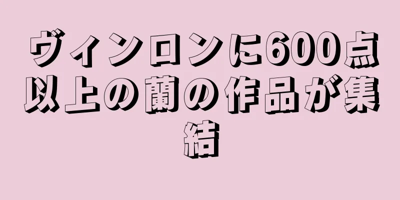 ヴィンロンに600点以上の蘭の作品が集結