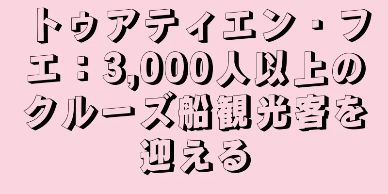 トゥアティエン・フエ：3,000人以上のクルーズ船観光客を迎える