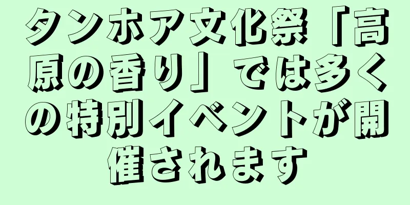 タンホア文化祭「高原の香り」では多くの特別イベントが開催されます